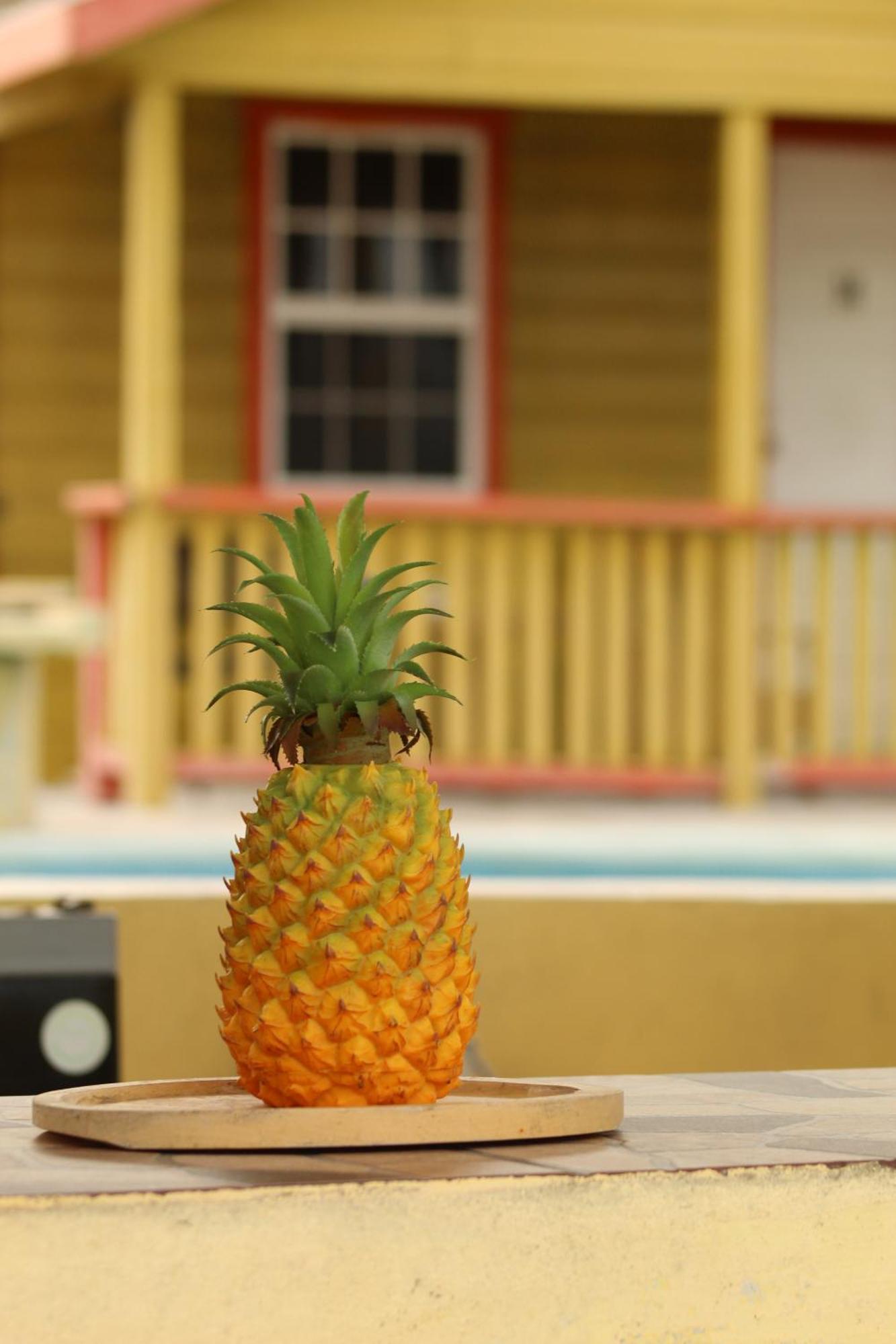 Tropical Paradise Hotel Caye Caulker Exterior photo