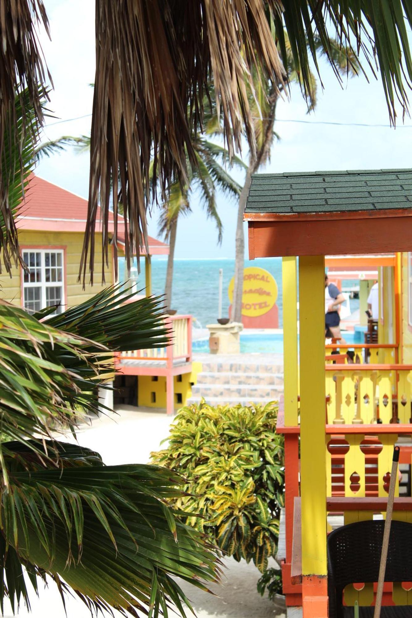 Tropical Paradise Hotel Caye Caulker Exterior photo